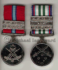 MIB Service Medals